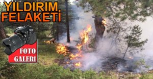 500 METREKARELİK ALAN YANDI