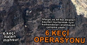 6 KEÇİ İÇİN SEFERBER OLUNDU