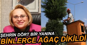 9 BİN 600 YENİ AĞAÇ DİKİLDİ