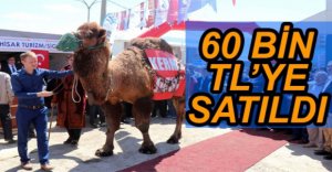AÇIK ARTIRMAYLA 60 BİN TL'YE SATILDI