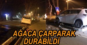 AĞACA ÇARPARAK DURABİLDİ