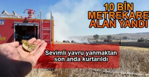 ANIZ YANGININDAN SON ANDA KURTARILDI