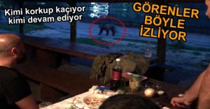 AYILAR SIK SIK ZİYARET EDİYOR