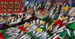 BALIKÇILAR YENİ SEZONDAN UMUTLU