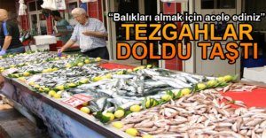 “BALIKLARI ALMAK İÇİN ACELE EDİNİZ”