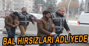 BALLARI ÇALIP KAÇTILAR