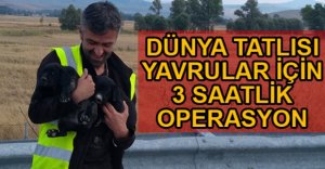 BETONA SIKIŞAN YAVRULAR İÇİN AFAD SEFERBER OLDU