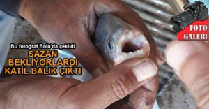 BOLU'DA PİRANA PANİĞİ