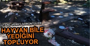 BU KADAR SORUMSUZLUK OLMAZ...