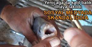 BU KATİLLERİ KİM BIRAKTI?