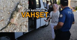 BUNUN ADI SADİSTLİKTİR