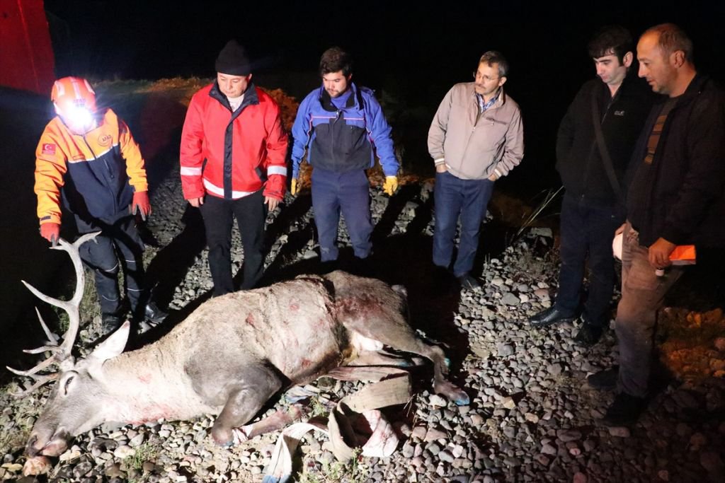 350 KİLOLUK GEYİK İÇİN SEFERBER OLUNDU