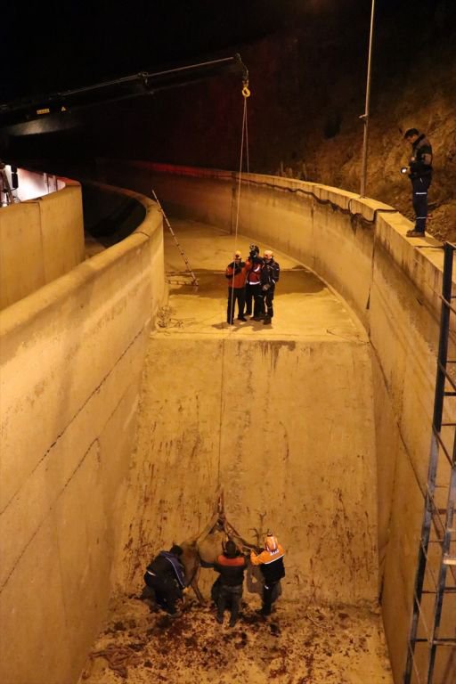 350 KİLOLUK GEYİK İÇİN SEFERBER OLUNDU