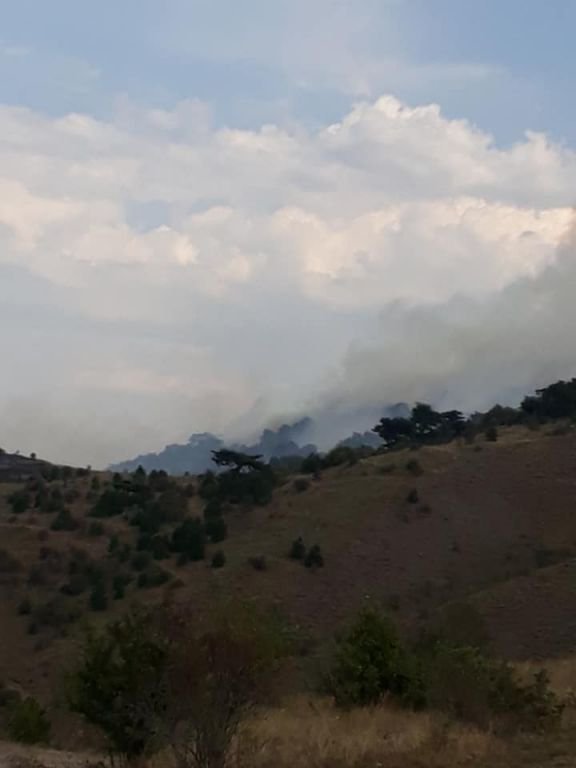 5 DÖNÜM ARAZİ KÜLE DÖNDÜ