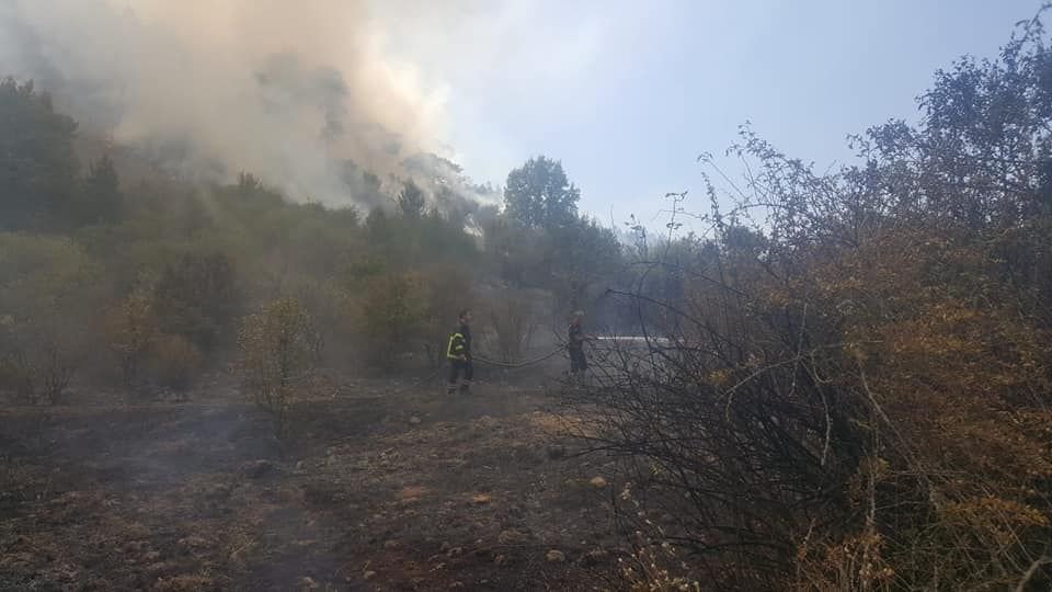 5 DÖNÜM ARAZİ KÜLE DÖNDÜ