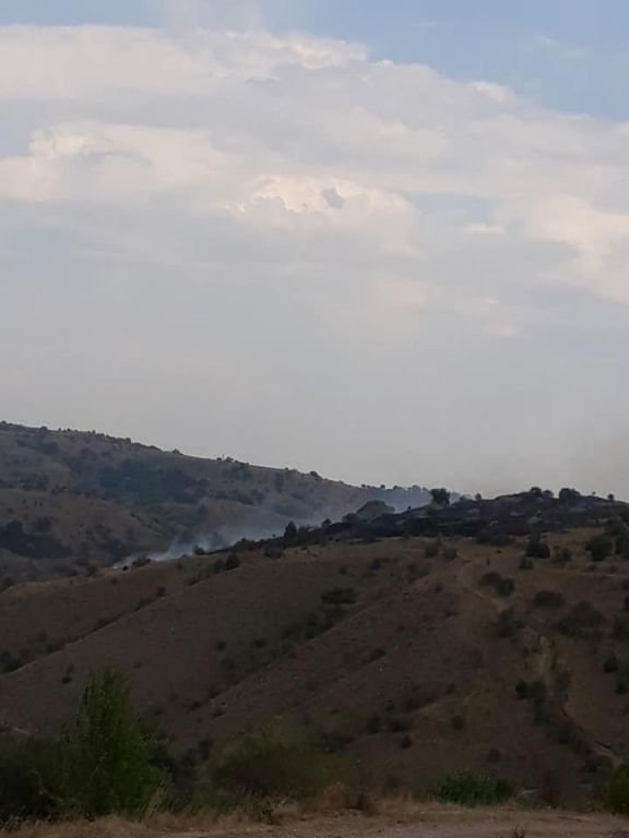 5 DÖNÜM ARAZİ KÜLE DÖNDÜ