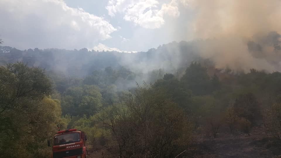 5 DÖNÜM ARAZİ KÜLE DÖNDÜ