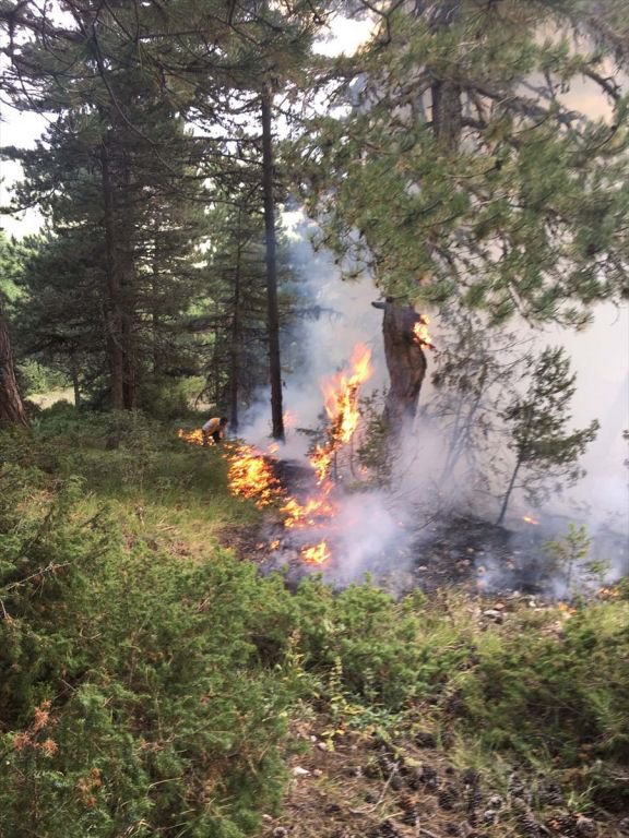 500 METREKARELİK ALAN YANDI