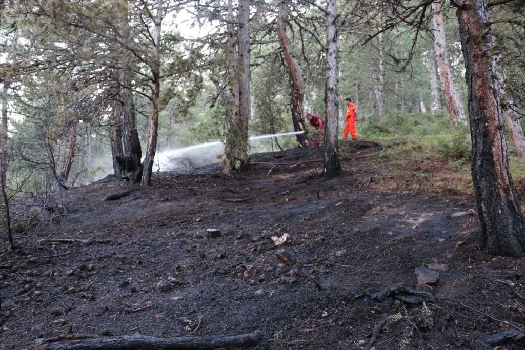 500 METREKARELİK ALAN YANDI