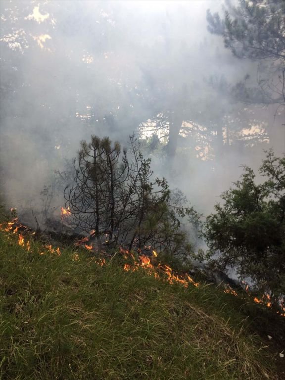 500 METREKARELİK ALAN YANDI