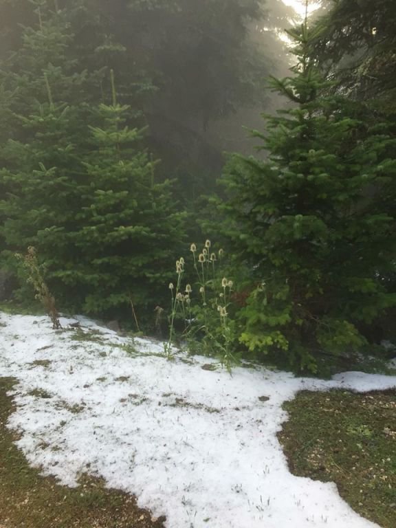 AĞUSTOS ORTASINDA İLGİNÇ GÖRÜNTÜ