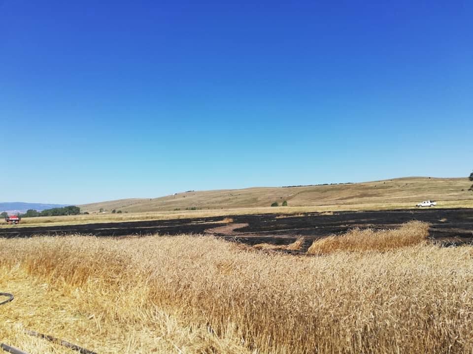 ANIZ YANGININDAN SON ANDA KURTARILDI