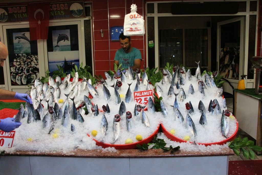 “BALIKLARI ALMAK İÇİN ACELE EDİNİZ”