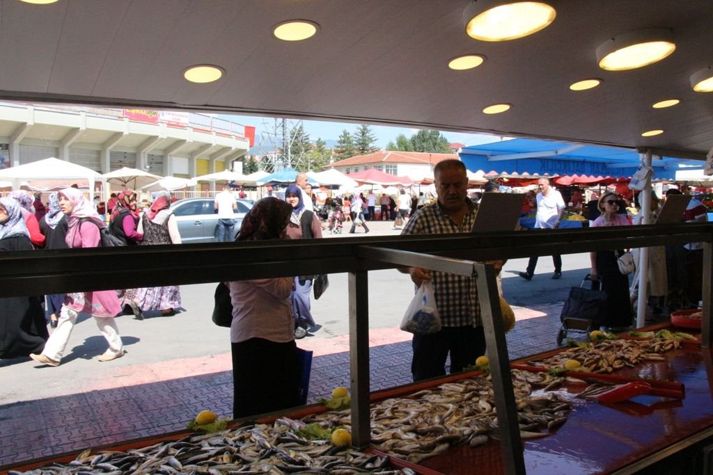 “BALIKLARI ALMAK İÇİN ACELE EDİNİZ”