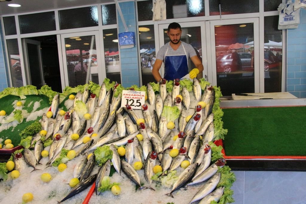 “BALIKLARI ALMAK İÇİN ACELE EDİNİZ”