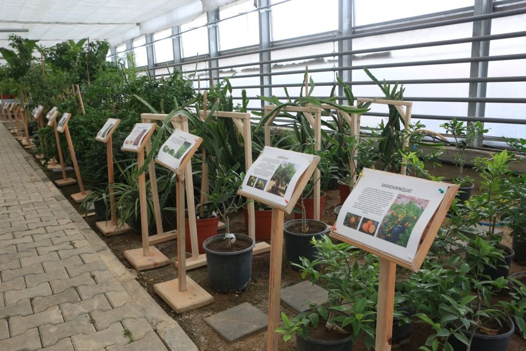 BELEDİYENİN SERASI BÜYÜK İLGİ GÖRÜYOR