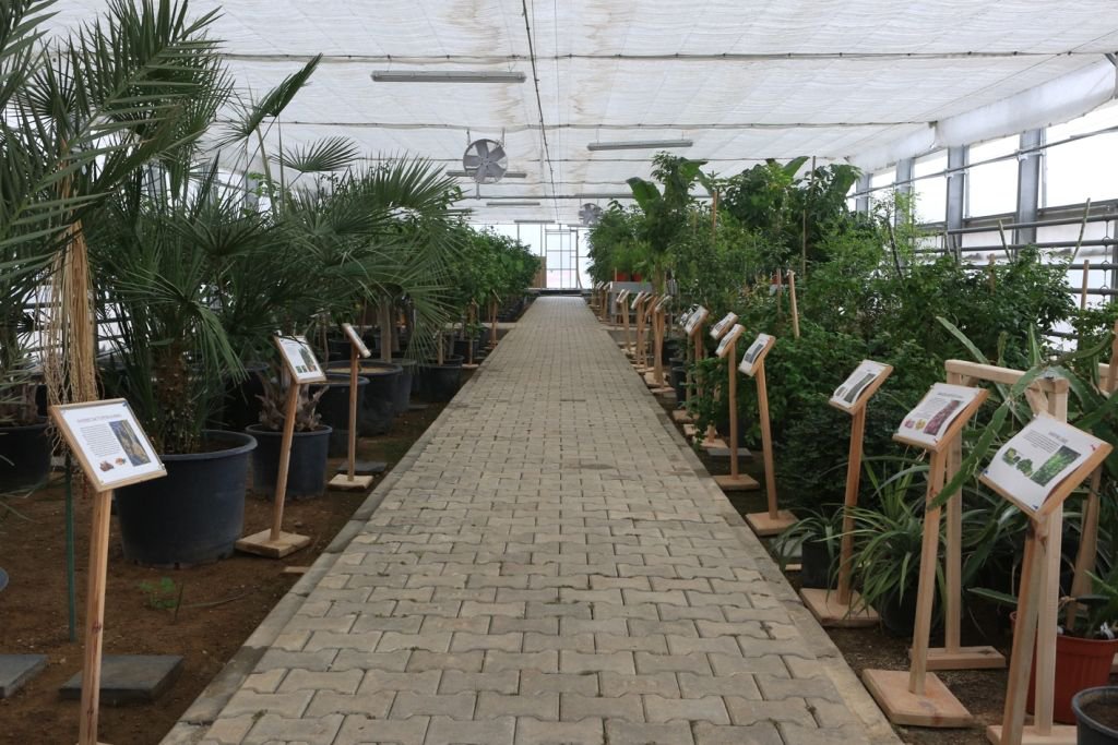 BELEDİYENİN SERASI BÜYÜK İLGİ GÖRÜYOR