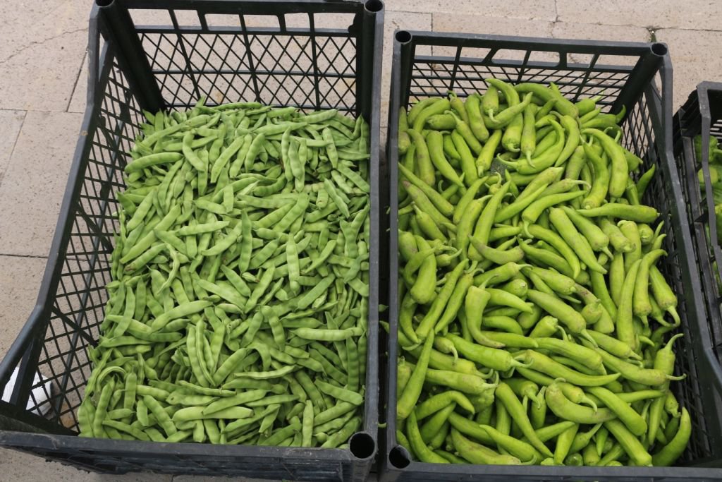 BELEDİYENİN ÜRÜNLERİ SATIŞA ÇIKTI