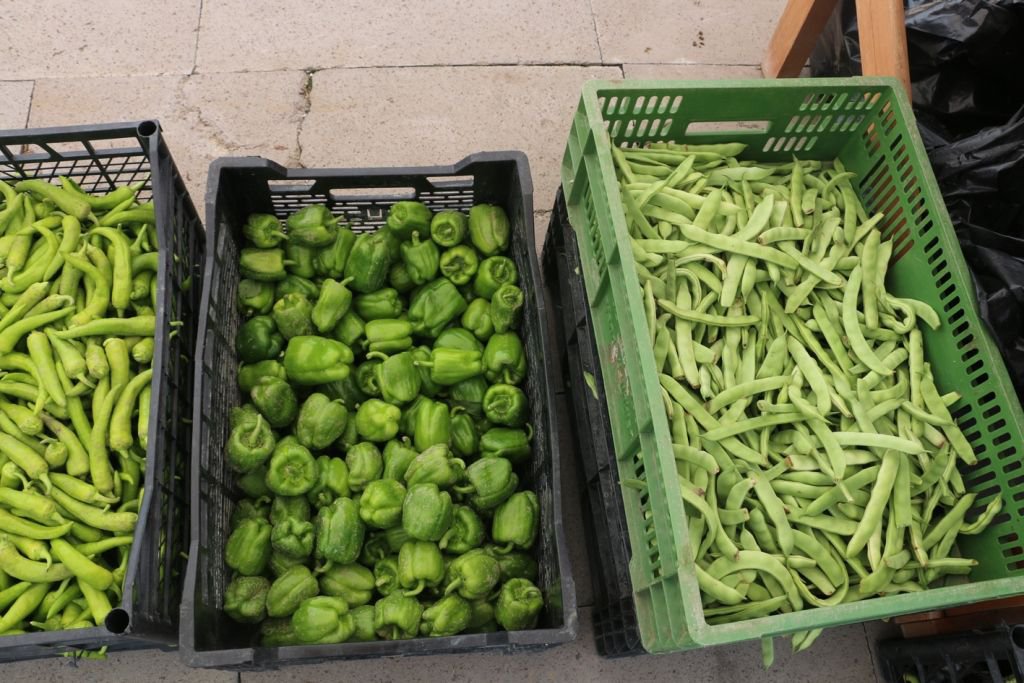 BELEDİYENİN ÜRÜNLERİ SATIŞA ÇIKTI