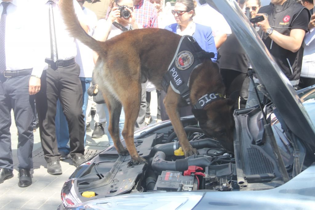 BOLU BAĞIMLILIK İLE MÜCADELE İÇİN EL ELE VERDİ