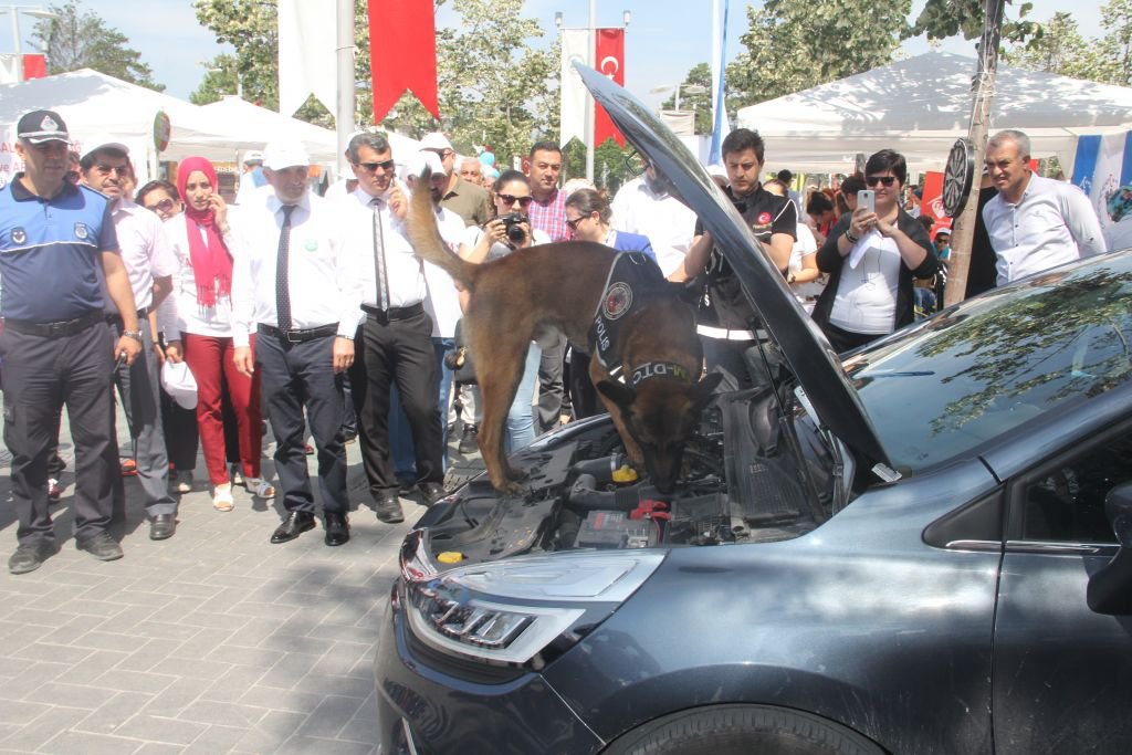 BOLU BAĞIMLILIK İLE MÜCADELE İÇİN EL ELE VERDİ