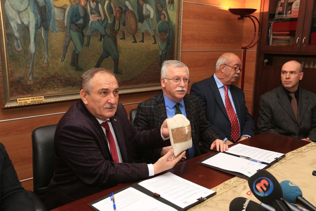 BOLU BELEDİYESİ'NDEN IZA BUĞDAYI ATAĞI