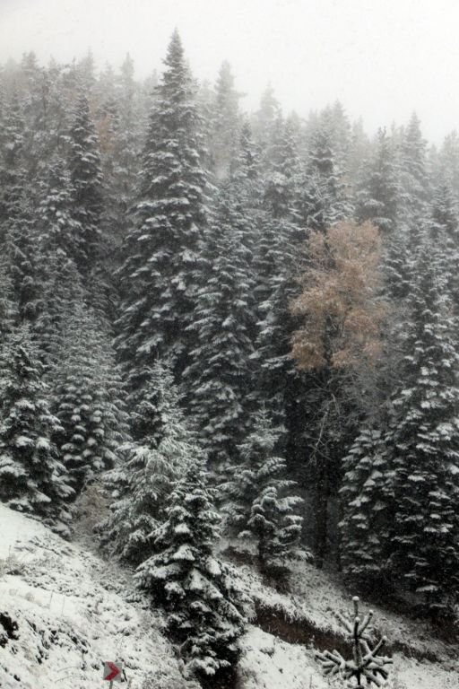 BOLU'NUN DÖRT BİR YANI BEMBEYAZ