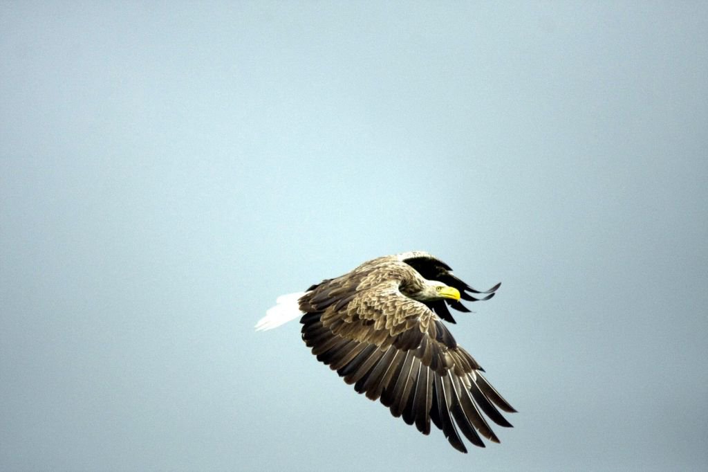 DÜNYA'NIN HER YERİNDEN ZİYARETÇİSİ VAR