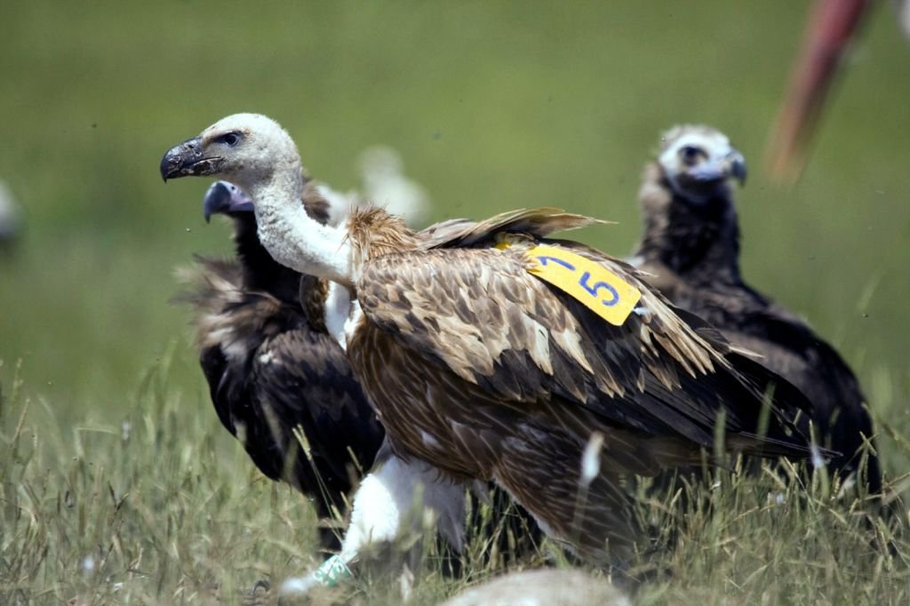 DÜNYA'NIN HER YERİNDEN ZİYARETÇİSİ VAR