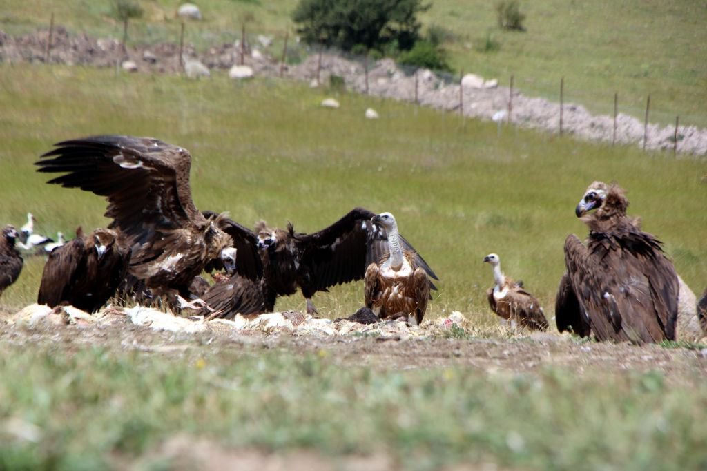 DÜNYA'NIN HER YERİNDEN ZİYARETÇİSİ VAR