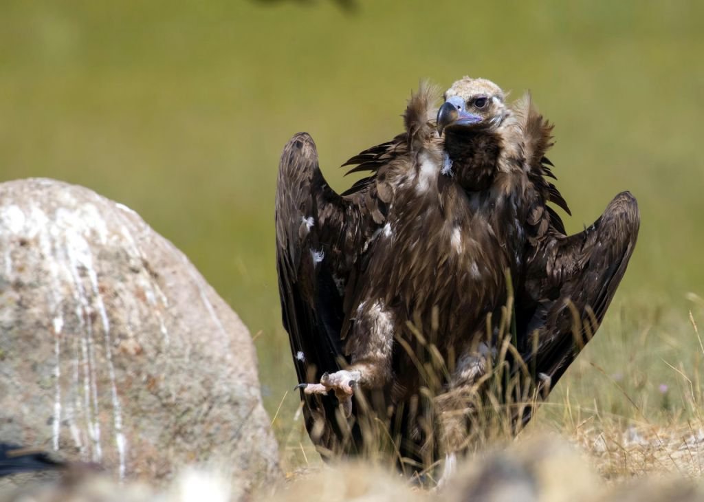 DÜNYA'NIN HER YERİNDEN ZİYARETÇİSİ VAR
