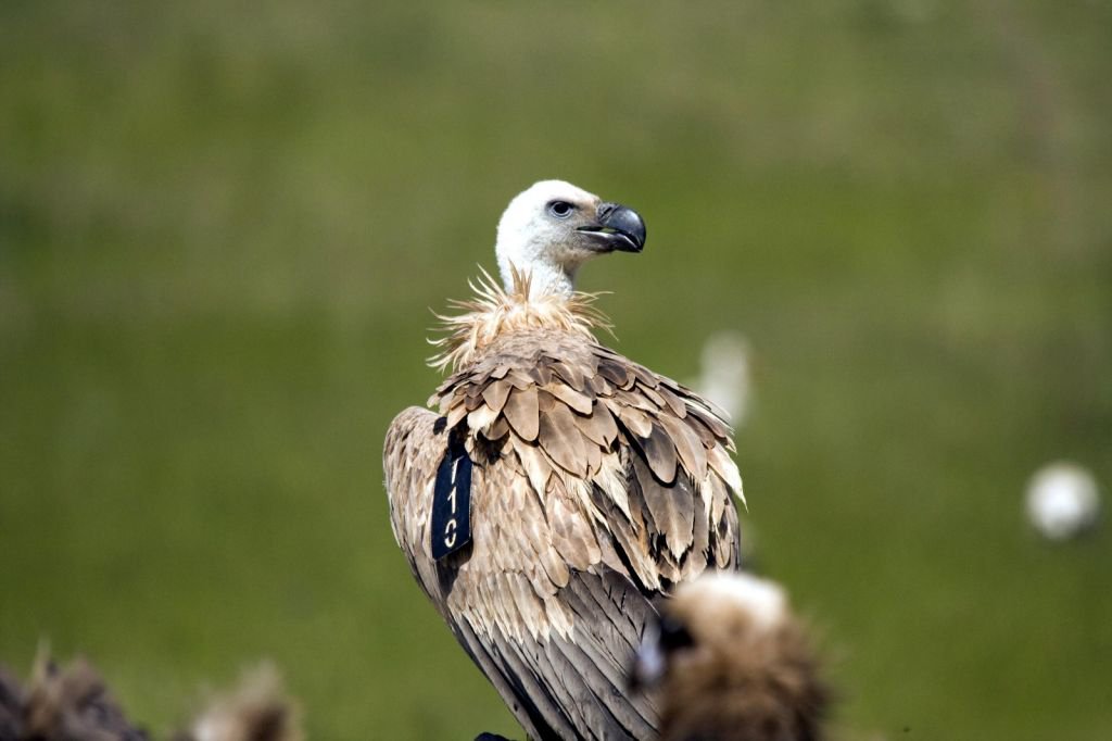DÜNYA'NIN HER YERİNDEN ZİYARETÇİSİ VAR