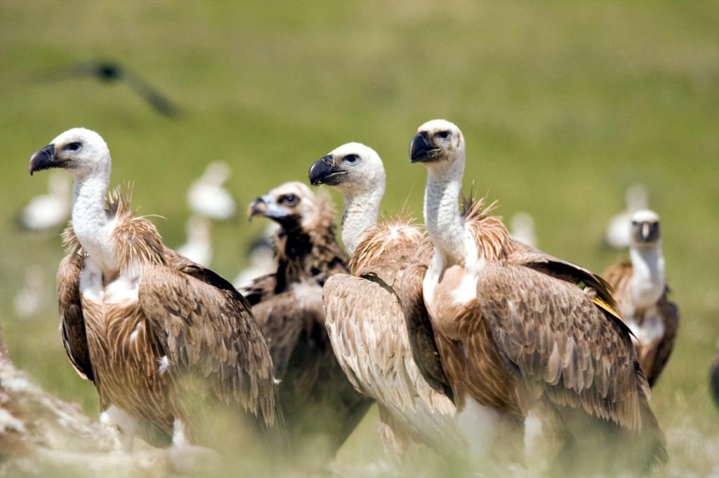DÜNYA'NIN HER YERİNDEN ZİYARETÇİSİ VAR