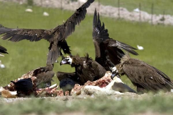 DÜNYA'NIN HER YERİNDEN ZİYARETÇİSİ VAR