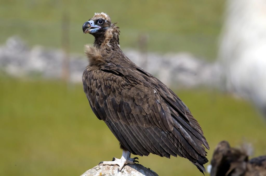 DÜNYA'NIN HER YERİNDEN ZİYARETÇİSİ VAR