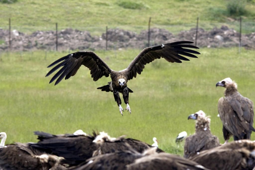 DÜNYA'NIN HER YERİNDEN ZİYARETÇİSİ VAR