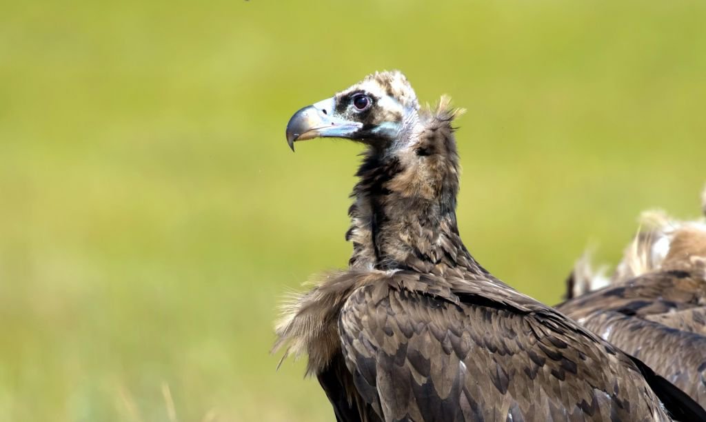 DÜNYA'NIN HER YERİNDEN ZİYARETÇİSİ VAR