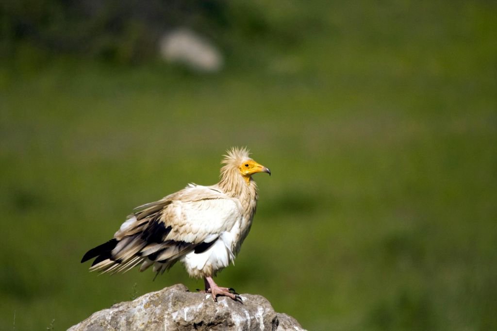 DÜNYA'NIN HER YERİNDEN ZİYARETÇİSİ VAR