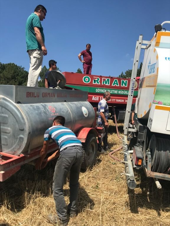 DÜŞEN YILDIRIM METRELERCE ALANI YAKTI