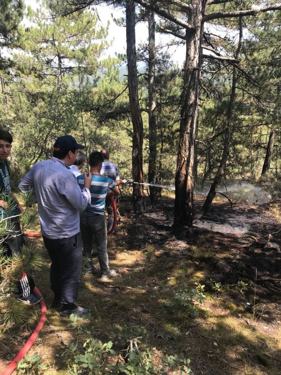 DÜŞEN YILDIRIM METRELERCE ALANI YAKTI